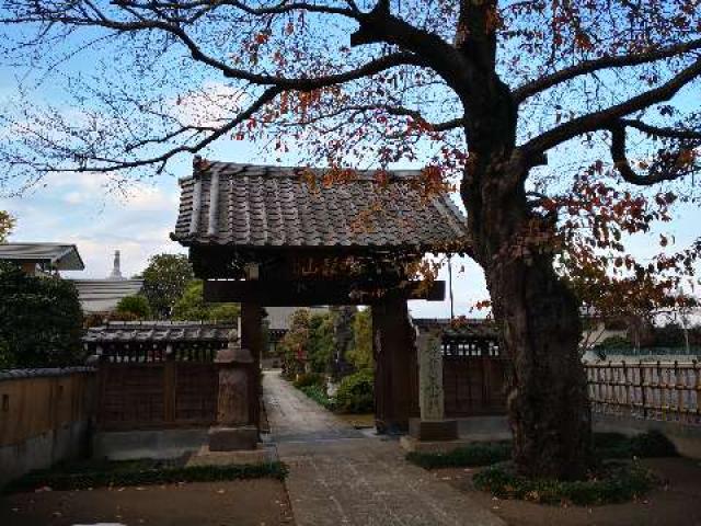 埼玉県所沢市林2-147 吟龍山松林寺の写真2