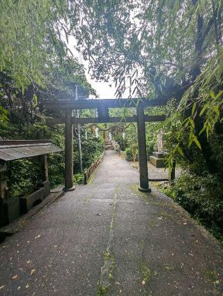 潮御崎神社の参拝記録(しゅうさん)