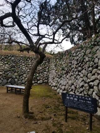 潮御崎神社の参拝記録(そらしじみさん)