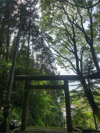 水門神社の参拝記録(てるりんさん)