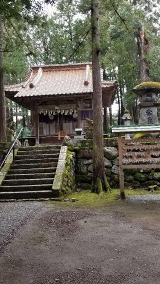 賣沼神社の参拝記録(なみなみさん)