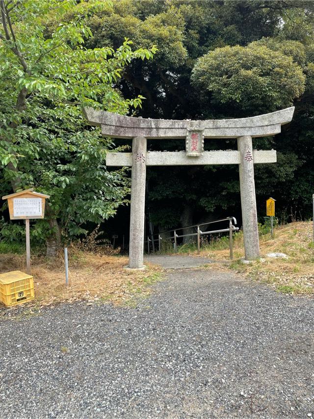 多鯰ヶ池弁天宮（お種弁天）の参拝記録8