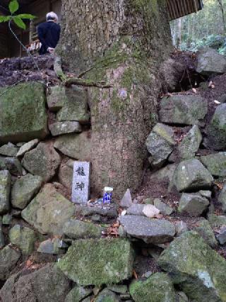 金持神社の参拝記録(とっさんさん)