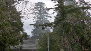 倭文神社(宮内)の参拝記録(Mu.(全国一ノ宮神社巡拝中)さん)