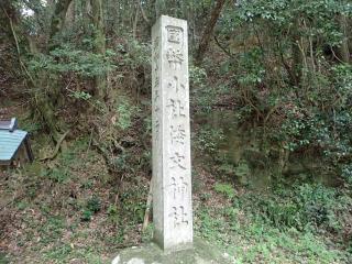 倭文神社(宮内)の参拝記録(氏青さん)