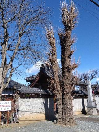 慈雲山観音寺龍山院の参拝記録(ブッチャさん)