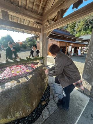 佐太神社の参拝記録(たくさん)