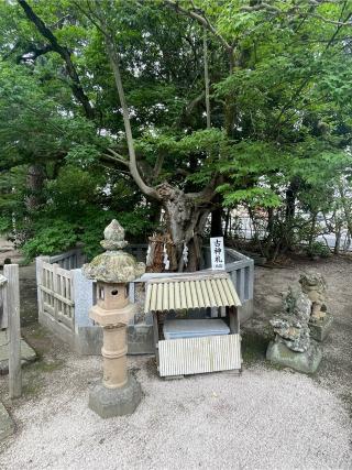 賣布神社（売布神社）の参拝記録(こうさん)