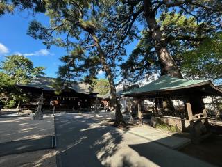 賣布神社（売布神社）の参拝記録(たくさん)