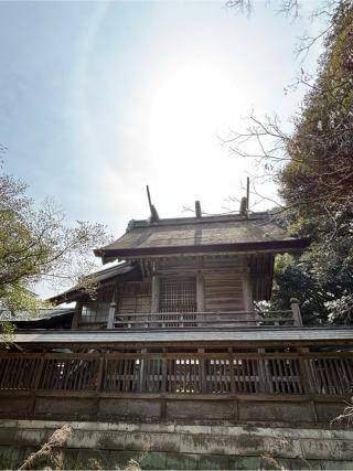 長浜神社の参拝記録(ほちさん)