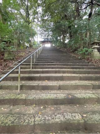 長浜神社の参拝記録(hinaさん)