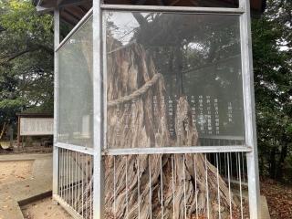 長浜神社の参拝記録(hinaさん)