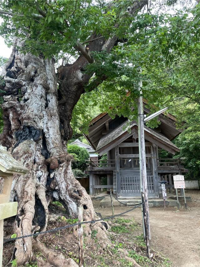 神魂伊能知奴志神社（命主社）の参拝記録5
