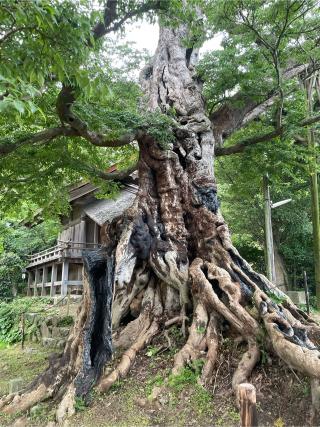 神魂伊能知奴志神社（命主社）の参拝記録(こうさん)