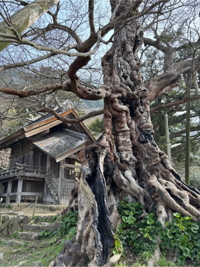 神魂伊能知奴志神社（命主社）の参拝記録6
