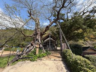 神魂伊能知奴志神社（命主社）の参拝記録(ブロディさん)