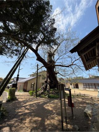 神魂伊能知奴志神社（命主社）の参拝記録(ブロディさん)