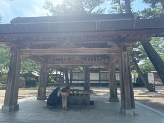 出雲井社(出雲大社)の参拝記録(コットンさん)