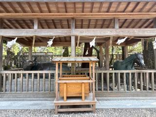 出雲井社(出雲大社)の参拝記録(コットンさん)