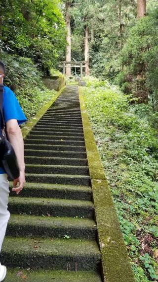 那売佐神社の参拝記録(なみなみさん)