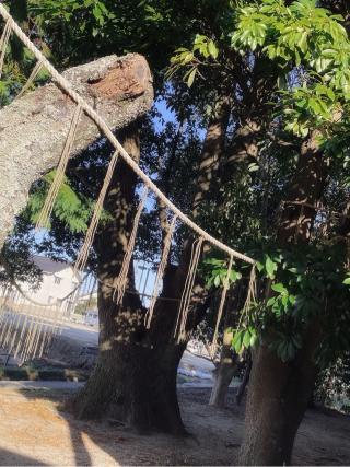 万九千神社の参拝記録(hinaさん)