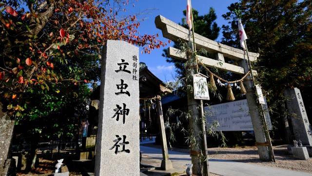 立虫神社の参拝記録7