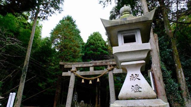 多鳩神社の参拝記録5