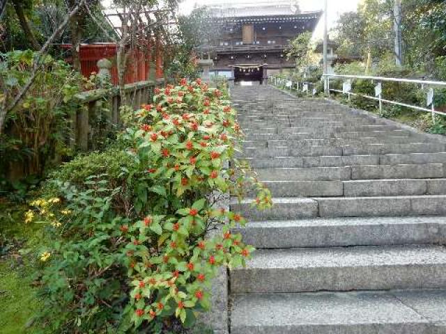 高津柿本神社の参拝記録2