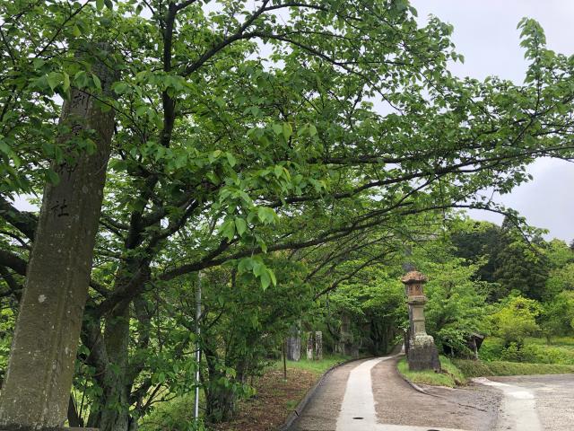 刺鹿神社の参拝記録4