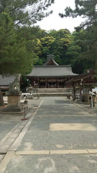 物部神社の参拝記録(やっちゃんさん)