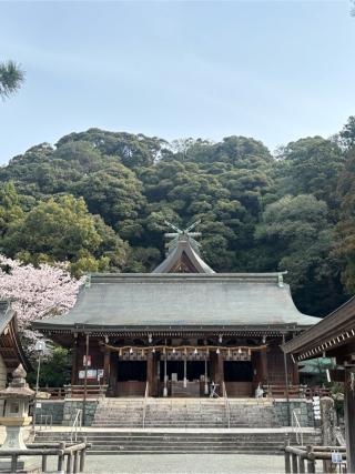 物部神社の参拝記録(ほちさん)