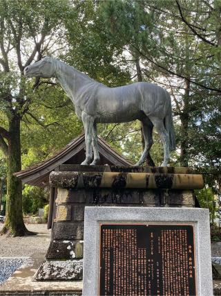 物部神社の参拝記録(ひかみさん)