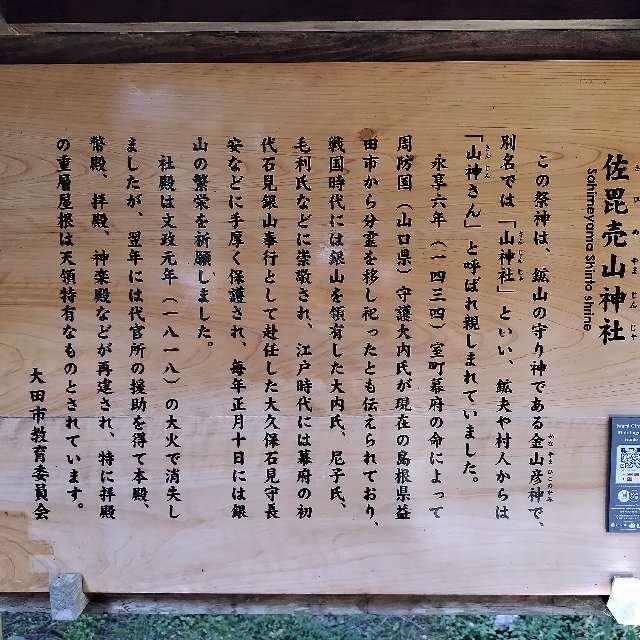 佐毘売山神社(大田)の参拝記録8
