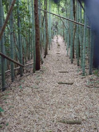 須我神社の参拝記録(マイキーさん)