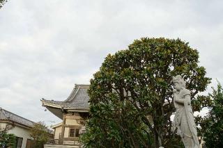 十王山薬王院東福寺の参拝記録(thonglor17さん)