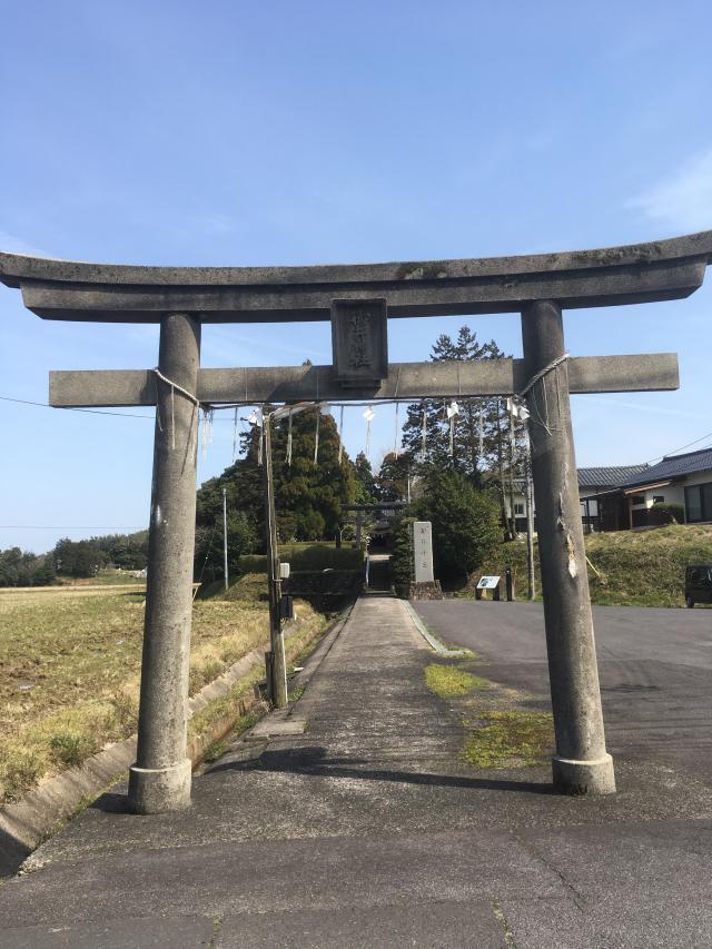 御井神社の参拝記録10