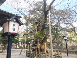 彌榮神社の参拝記録(じゃすてぃさん)