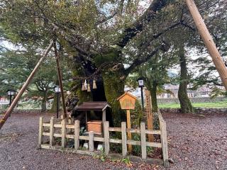 彌榮神社の参拝記録(くらのりさん)