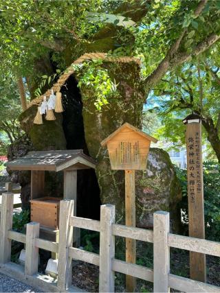 彌榮神社の参拝記録(おかちゃんさん)