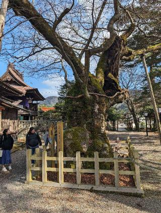 彌榮神社の参拝記録(しゅうさん)
