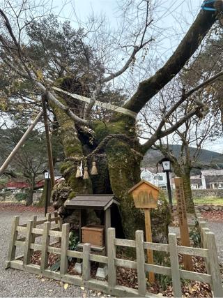 彌榮神社の参拝記録(たくさん)