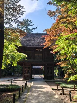 金鳳山 平林寺の参拝記録(はじめさん)