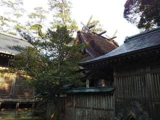 水若酢神社の参拝記録(おちゃめオヤジさん)