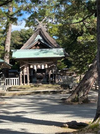 水若酢神社の参拝記録(QQQさん)