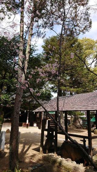 小島神社の参拝記録(K2Kさん)