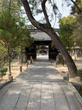 今村宮の参拝記録(Hide0325さん)