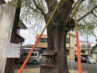 春日神社の参拝記録(ひらたんさん)