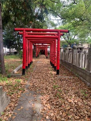 春日神社の参拝記録(Hide0325さん)
