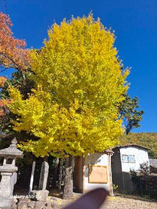 備前国総社宮の参拝記録(キッシーさん)