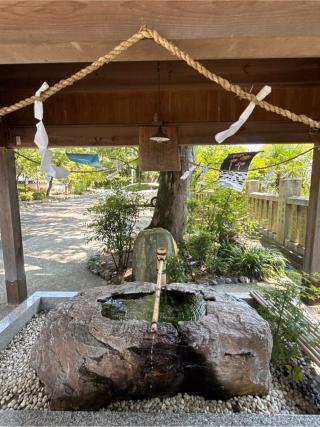 阿智神社の参拝記録(コットンさん)